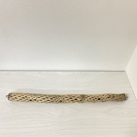 ケージサイズカクタスパーチ④ 極小サイズ直径約2-3cm HOEI465サイズ