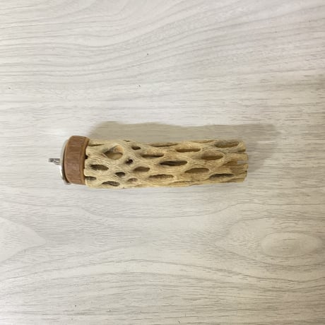 カクタスパーチ 極小サイズ⑨直径（約2-3cm）長さ/10cm