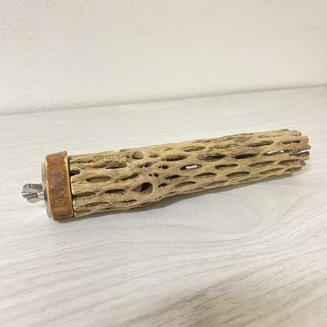 カクタスパーチ⑨ 極小サイズ 直径（約2-3cm）長さ/15cm