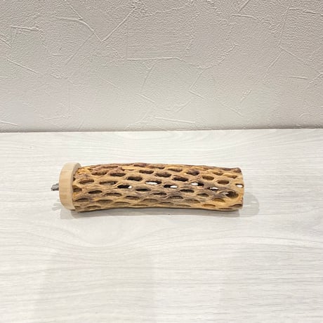カクタスパーチ③ 小サイズ長さ15cm