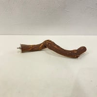 自然木（ツタ）パーチ⑩直径約2~2.5cm/長さ21cm