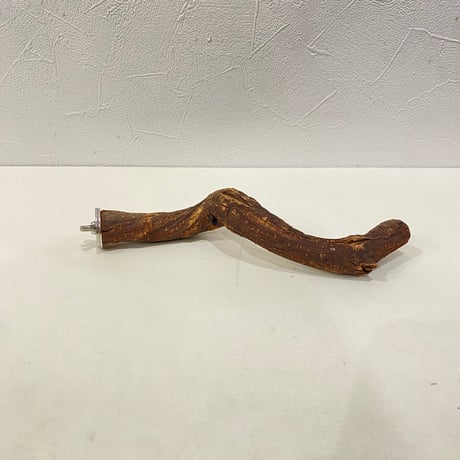 自然木（ツタ）パーチ⑩直径約2~2.5cm/長さ21cm