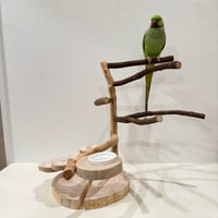 自由にカスタム 壁掛けバードアスレチック【B】【インコのおもちゃ