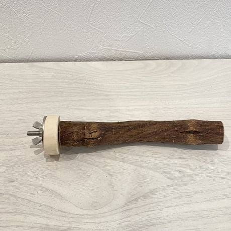 自然木（ツタ）パーチ⑤  直径2cm 長さ15cm