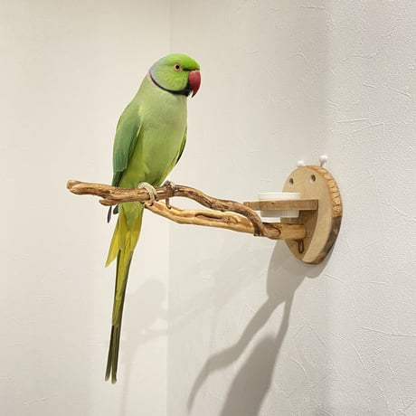 ピノキオの鼻 ④  おやつ入れ付き