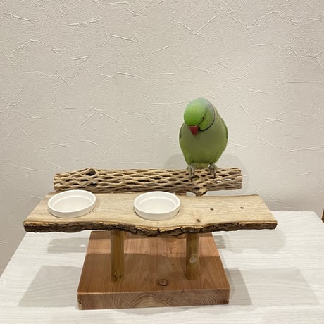 おしゅし屋さんカウンタースタンド