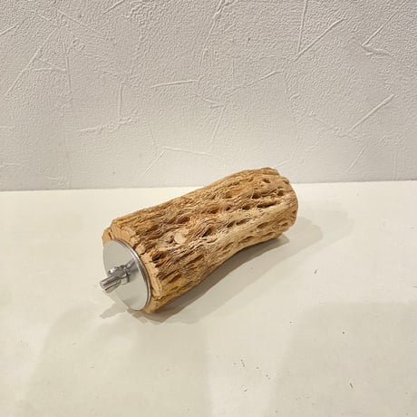カクタスパーチ⑥ 直径約5cm/長さ12cm