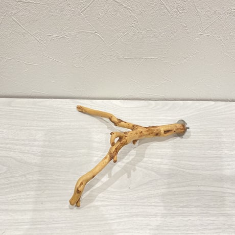 自然木（カイヅカイブキ）のパーチ⑥　直径1～2cm／長さ22cm
