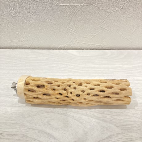 カクタスパーチ【9】小 直径約3.5cm 長さ15cm