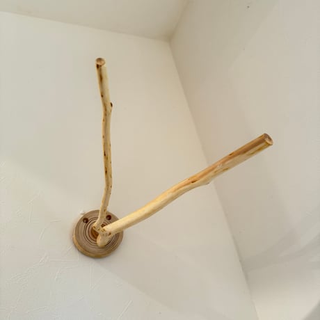 桧のピノキオの鼻 ⑪
