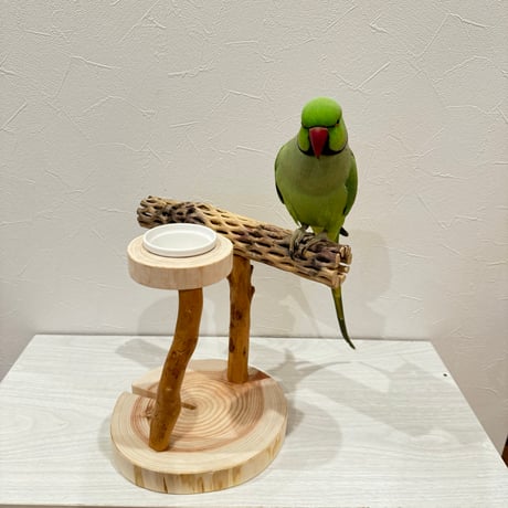 おやつ入れ付きカクタススタンドパーチ