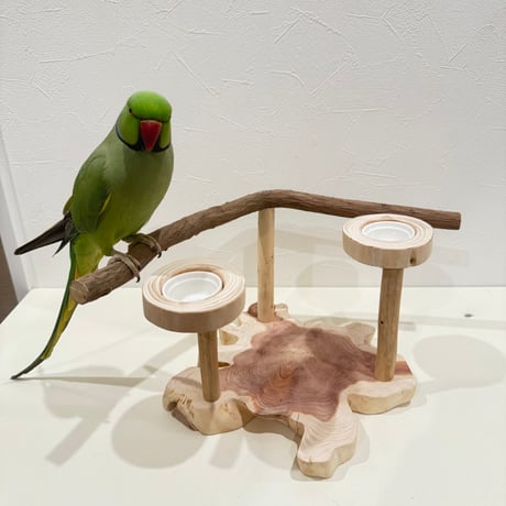 ツタのおやつ入れ付きスタンドパーチ　 【インコ 自然木 止まり木 】