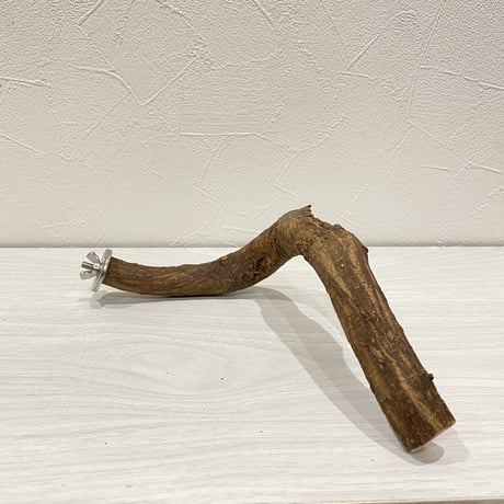 自然木（ツタ）パーチ⑥ 直径2.5cm 長さ23cm