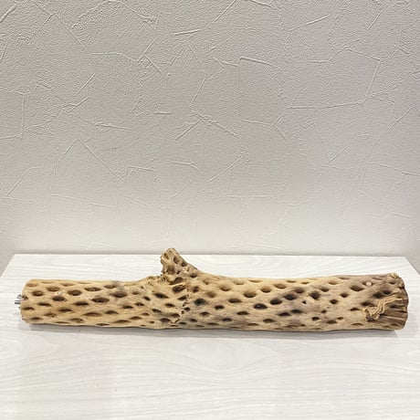 ケージサイズカクタスパーチ⑦  中サイズ（直径約5.5cm）HOEI465