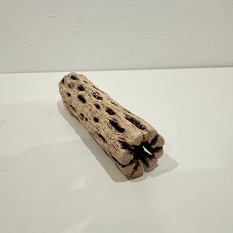 カクタスパーチ極小サイズ 直径2.7-3cm/長さ15cm⑫【自然木 止まり木 バンブルフット 趾瘤症 】