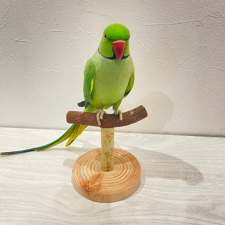 自然木(ツタ)のスタンドパーチ②   パーチ長さ12cm／高さ約10.5cm
