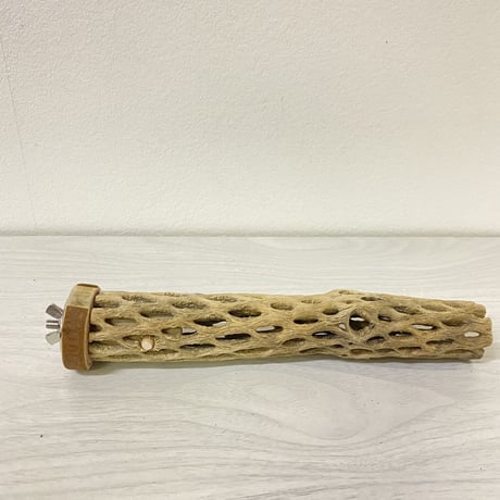 カクタスパーチ⑧ 小サイズ 直径（約3-4cm）長さ/20cm