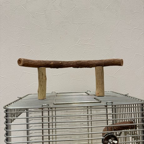 使い方いろいろ 屋上ツタパーチ【4】  横25cm 高さ8cm