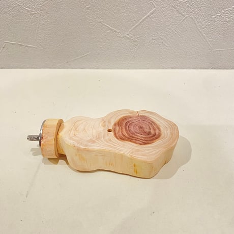 貝塚伊吹テーブルパーチ  ⑦