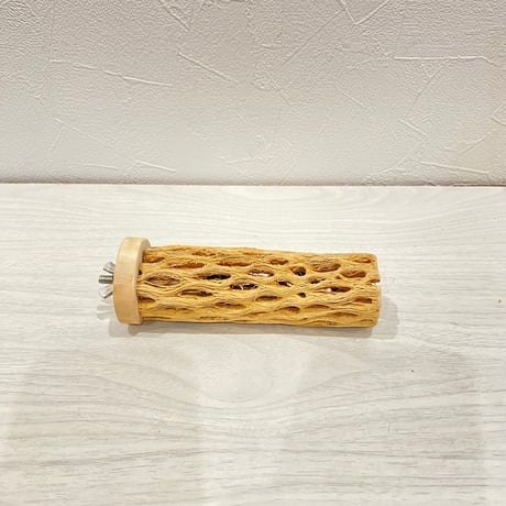 カクタスパーチ小直径3~4cm 長さ12cm ①
