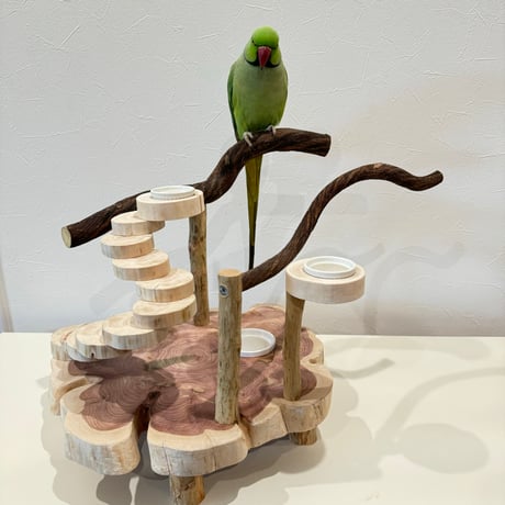 螺旋階段とツタのバードアスレチック【インコのおもちゃ・自然木のとまり木】
