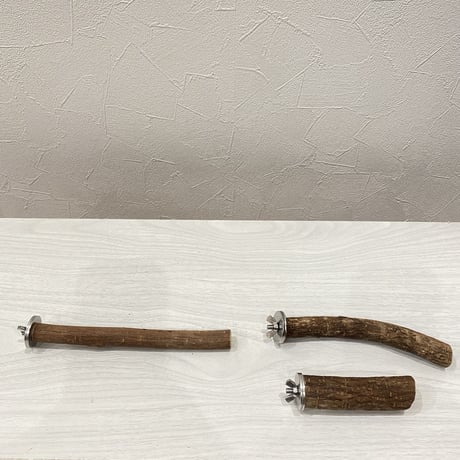 自然木（ツタ）パーチ③ 3本セット