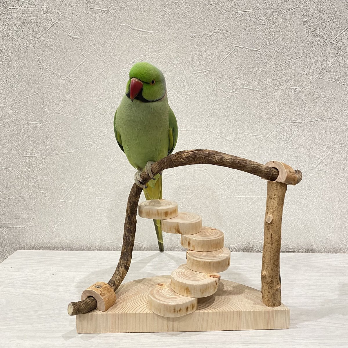 【中型鳥用】くねくねバードスタンド 中型鳥用】くねくねバードスタンド