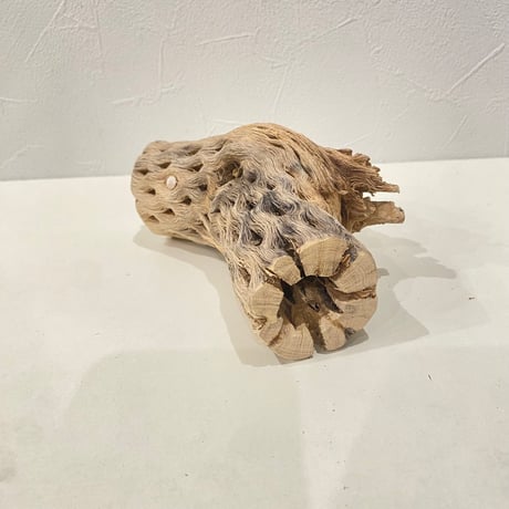 カクタスパーチ④ 直径約5~6cm/長さ14cm