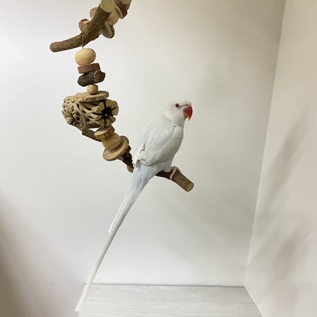 【yae23yae様専用】おでんくん【シロハラサイズ】カクタスと天然ウッドビーズのゆらゆらおもちゃ