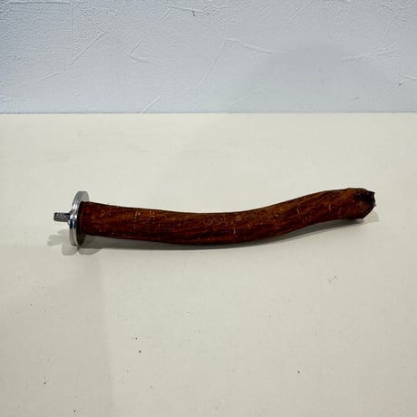 自然木（ツタ）パーチ 直径約2cm/長さ17.5cm