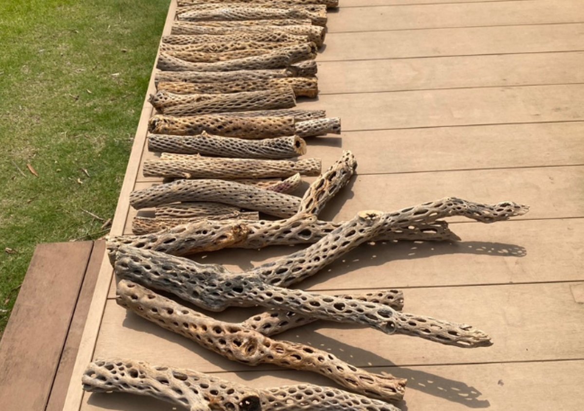 オーダーについて | 自然木の鳥用品 鳥豆堂【トリマメドウ】バード