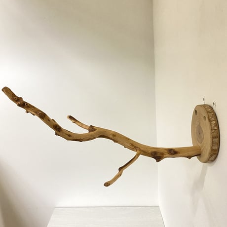 ピノキオの鼻 ⑦