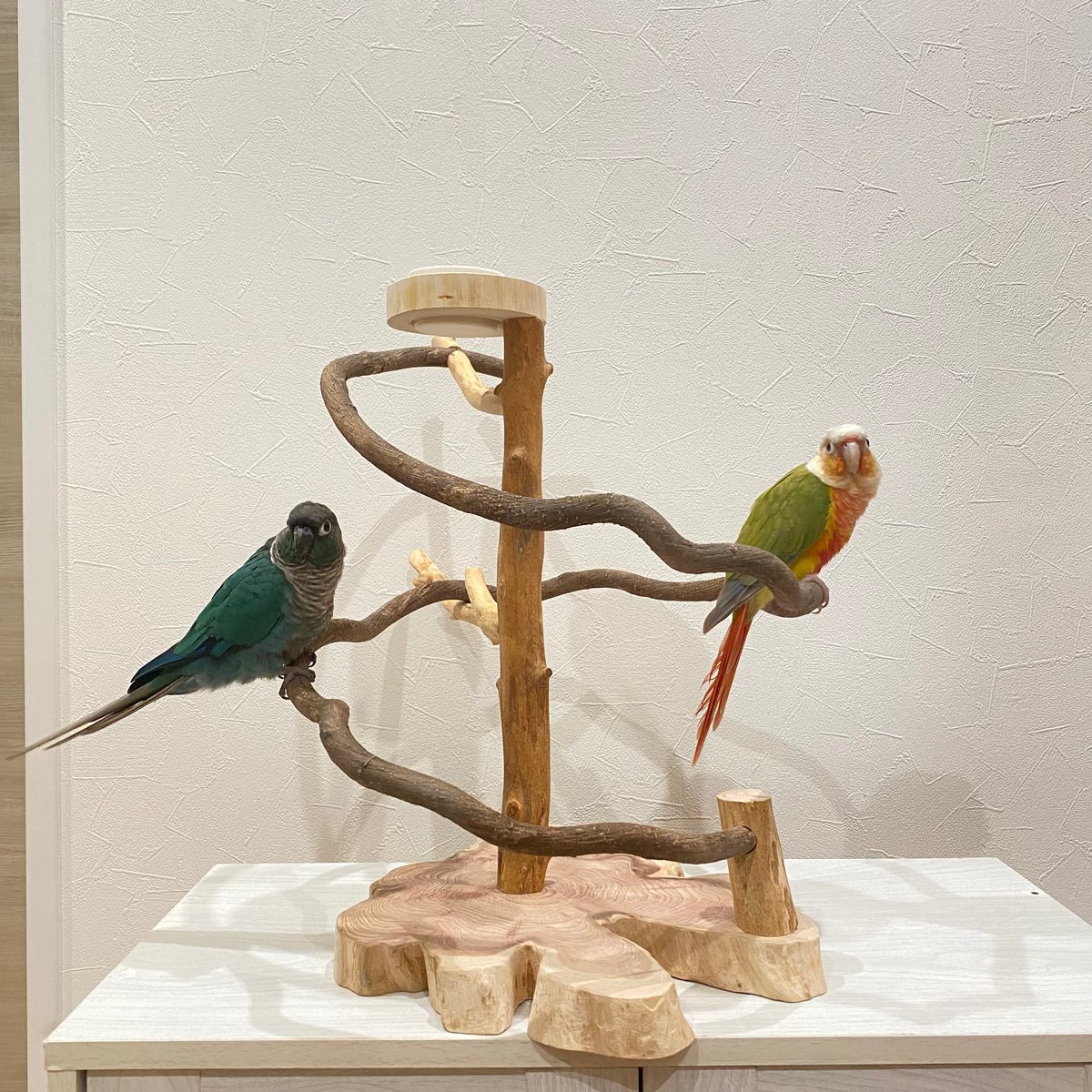 ♡nazu♡　バードアスレチック Amazon | owl yorozu 止まり木 インコ 鳥 ブランコ バード