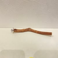 自然木（ツタ）パーチ⑧  直径約1.4~1.6cm/長さ22.5cm