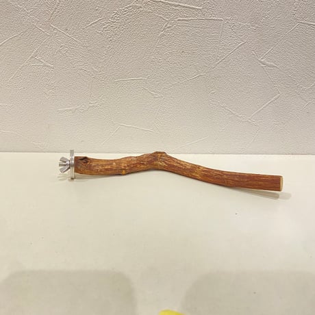 自然木（ツタ）パーチ⑧  直径約1.4~1.6cm/長さ22.5cm