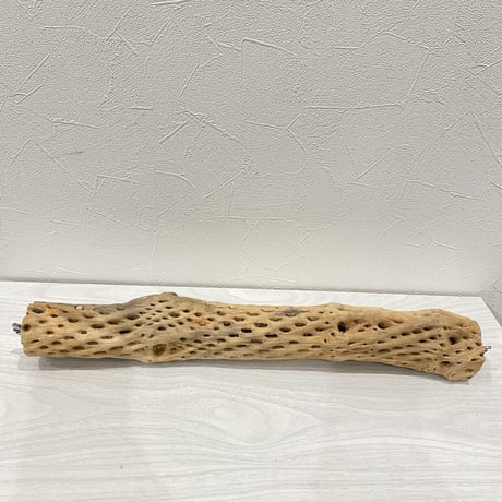 ケージサイズカクタスパーチ①  中サイズ（直径約5.5cm）HOEI465