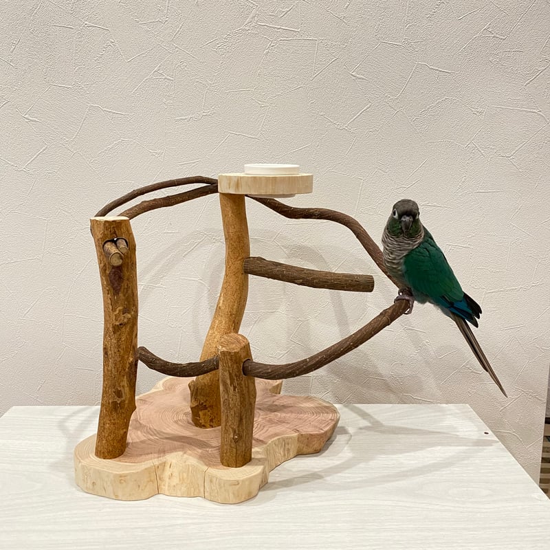 ツタのぐるぐるバードアスレチック③【インコのおもちゃ・自然木の
