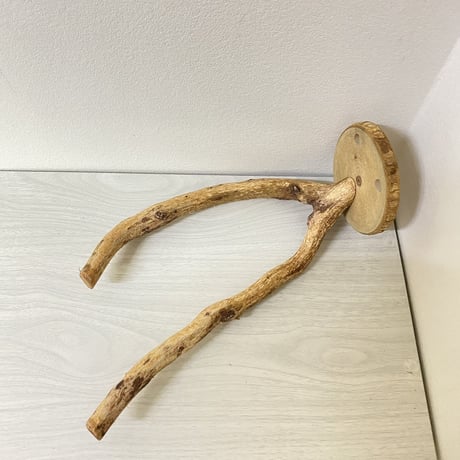 ピノキオの鼻①