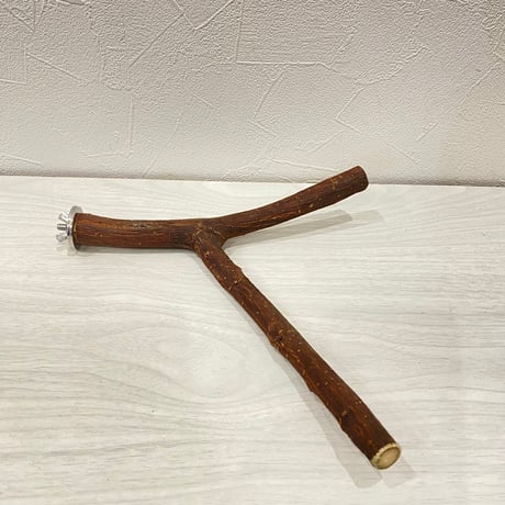 自然木（ツタ）パーチ⑧ 直径約1.4~1.8cm/最長25cm