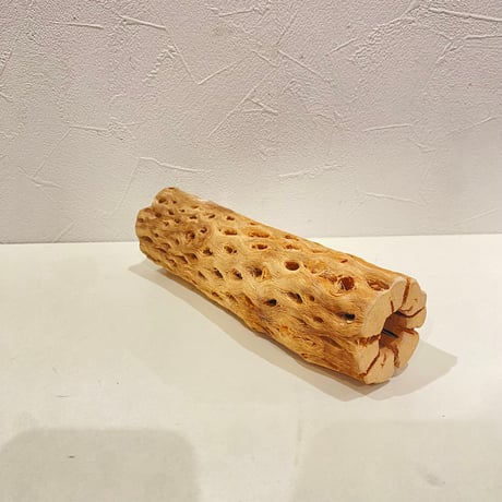 カクタスパーチ⑦ 直径約5cm/長さ20cm