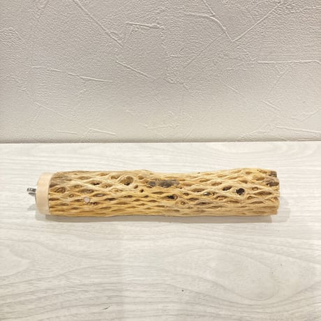 カクタスパーチ小㉕ 直径約3~4cm 長さ20cm