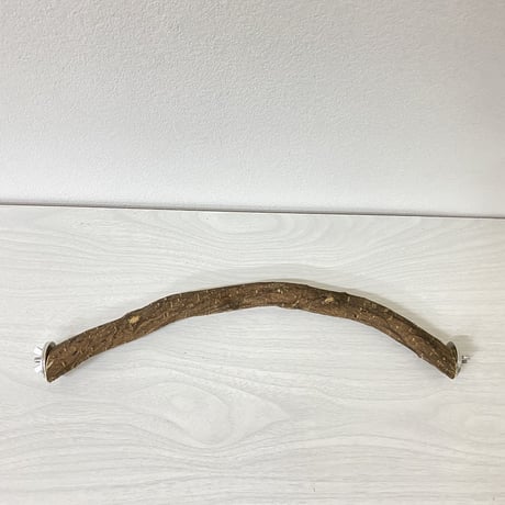 殿様パーチ（自然木ツタ）③ 直径2.5cm/HOEI35サイズ
