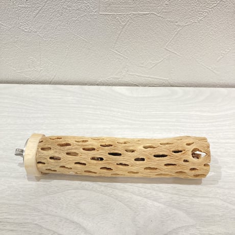 カクタスパーチ【8】小 直径約3.5cm 長さ15cm