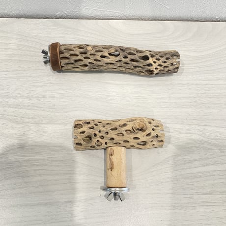 【ぴのたんとムック様専用】サイズカクタスパーチ 極小15cm