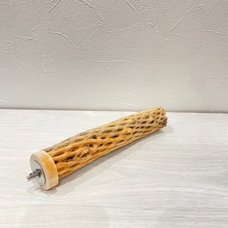 カクタスパーチ⑭ 小サイズ長さ20cm