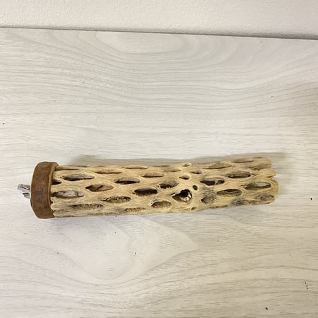 カクタスパーチ 小サイズ① 直径約3.5cm 長さ/15cm