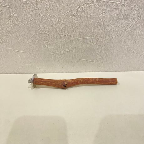 maona　鳥用品　止まり木　カクタス　スケルトン　パーチ　2本おまとめ maona 鳥用品 止まり木 カクタス スケルトン パーチ 2本おまとめ maona