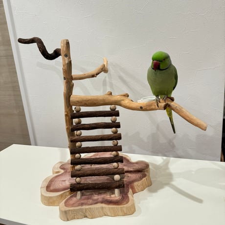 自然木（ツタ・貝塚伊吹）とハシゴのバードアスレチック【インコのおもちゃ・自然木のとまり木】