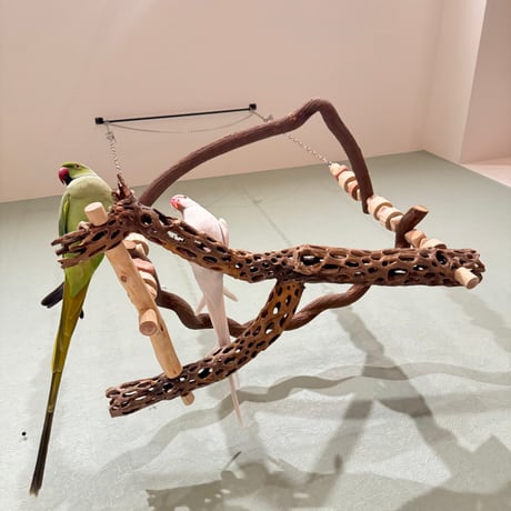 Chiiia様おまとめ　止まり木　カクタススケルトン　パーチ　2本 Chiiia様おまとめ 止まり木 カクタススケルトン パーチ 2本