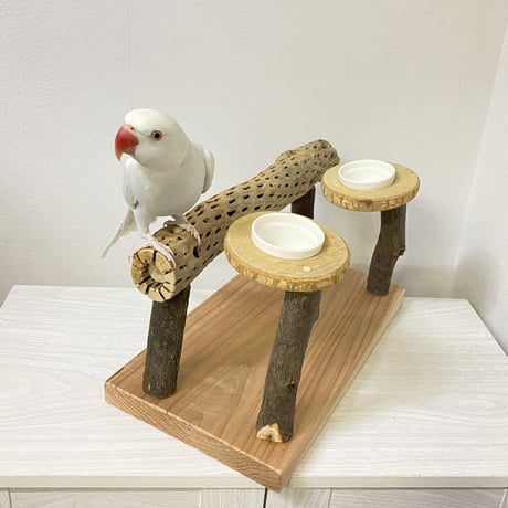 おやつ入れ付きカクタススタンドパーチ 中型から大型さん用